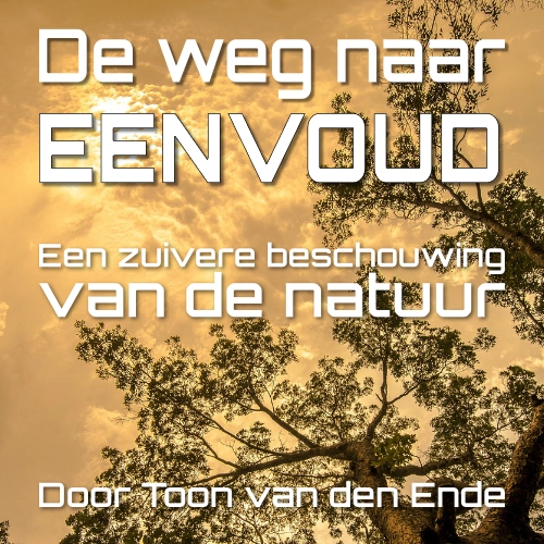 De weg naar Eenvoud: deel 1 Inleiding